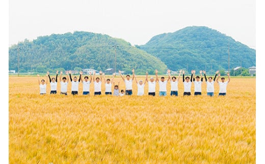 【新米】【7年産】にじのきらめき白米10kg（5kg×2袋）「大粒で食べ応えあり」【C060W】