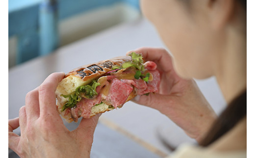【ふるさと納税限定ツアー】水郷の街で非日常体験、湖上で味わう厳選近江牛【EJ003W】