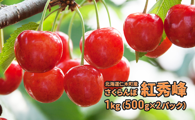 先行受付 北海道 仁木町産さくらんぼ 紅秀峰 1kg（500g×2パック） 旬の果物 デザート サクランボ チェリー フルーツ 果物 果物類  仁木町 仁木 [JA新おたる] 