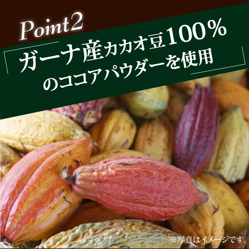 ココア 守山乳業 ストレートココア(口栓付) 1000g | アミカ ネット