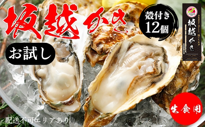 兵庫県赤穂市のふるさと納税 牡蠣 お試し 坂越かき 殻付き牡蠣 12個 軍手・オイスターナイフ付き[ 生牡蠣 かき カキ 殻付 生食 一人暮し 冬牡蠣 ] 魚貝類 海鮮 海の幸 1年牡蠣 濃厚 クリーミー