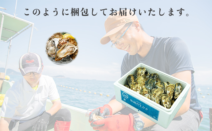 兵庫県赤穂市のふるさと納税 牡蠣 お試し 坂越かき 殻付き牡蠣 12個 軍手・オイスターナイフ付き[ 生牡蠣 かき カキ 殻付 生食 一人暮し 冬牡蠣 ] 魚貝類 海鮮 海の幸 1年牡蠣 濃厚 クリーミー