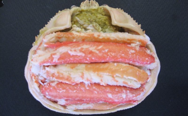 松葉蟹 ほぐし身（特上）活き蟹 1200g級使用 甲羅盛り 〈11月中旬～2026年3月末発送〉 蟹 カニ かに 松葉蟹 松葉ガニ ズワイガニ 剥き身 殻なし