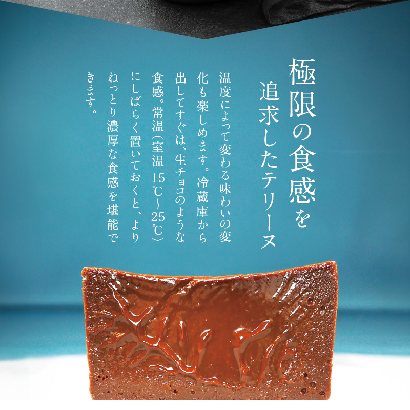 愛知県碧南市のふるさと納税 【テリーヌ専門店L】（約６００g）濃厚チョコレートのテリーヌ【グルテンフリー・保存料不使用】ショコラ スイーツ チョコレート H173-008