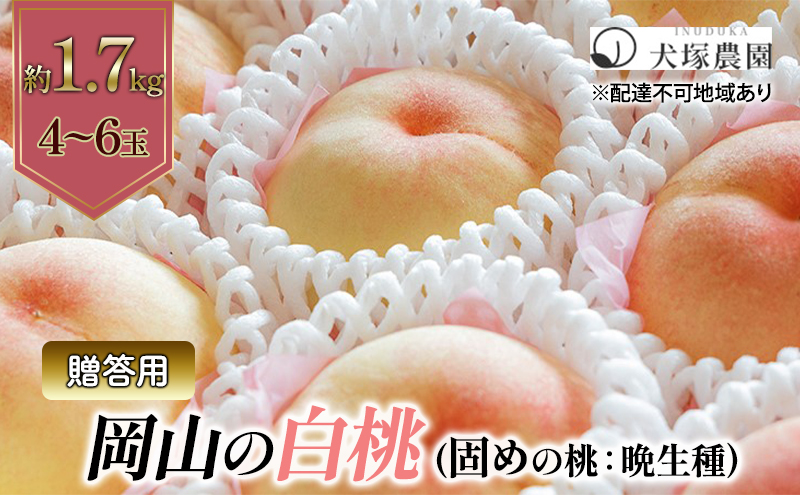 yRzł߂̓ 2026N s\ p R iӐj1.7kg 4`6 R t[c    s[` lC VN t[c  t[c   Mtg    ʕ t[c  