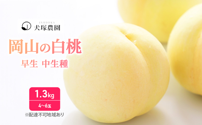 桃 2026年 先行予約 ご家庭用 訳あり 1.3kg 4～6玉 もも モモ 国産 岡山 白桃 はくとう スイーツ フルーツ 果物 デザート 旬 岡山県 里庄町 送料無料 早生 中生種 犬塚農園 