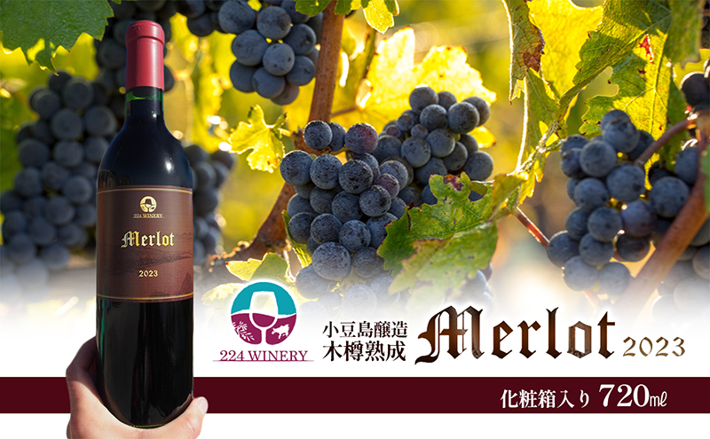 【 小豆島 】小豆島醸造 木樽熟成 メルロー 2023年 1本 化粧箱入り お酒 酒 ワイン 赤ワイン 熟成 香川 香川県 土庄 土庄町