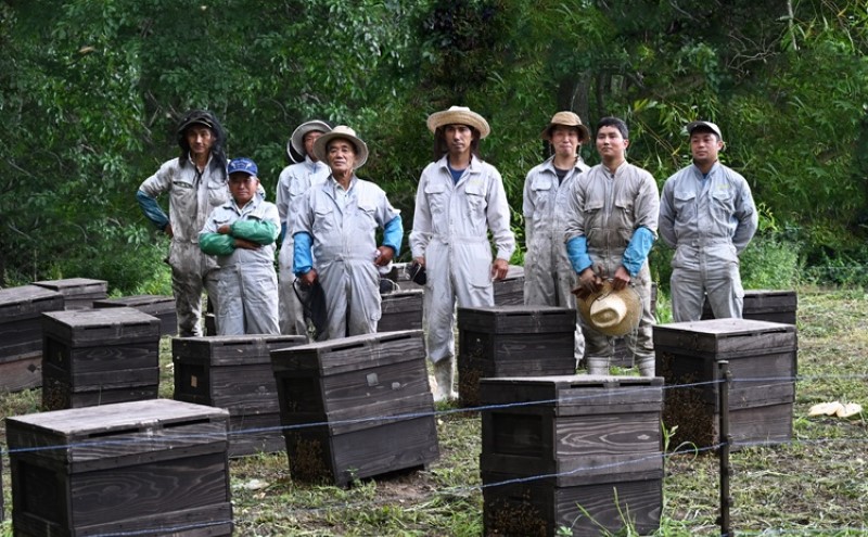 はちみつ 国産 蜂蜜 6本組 セット レンゲ アカシア クローバー リンゴ ボダイジュ 百花蜜 各180g×1 ハチミツ 