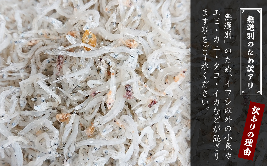 【訳アリ】淡路島産 無選別ちりめん 600g（100g×6袋）