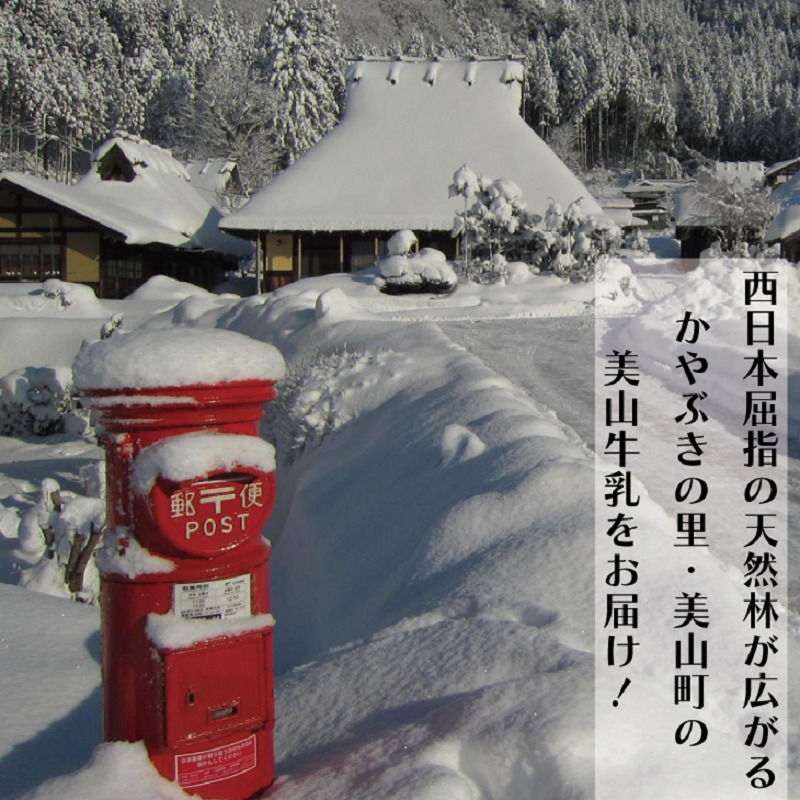 牛乳 定期便 6ヶ月 京都 美山牛乳 200ml ×10本 セット 美山町 お取り寄せ パック 紙パック 200mL 定期 お楽しみ 6回 ※北海道・沖縄・離島への発送不可 