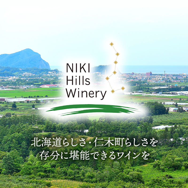 北海道仁木町のふるさと納税 NIKI Hills Winery 白ワイン 【 HATSUYUKI 】 750ml ワイン 洋酒 お酒 アルコール ブドウ ぶどう 辛口 [株式会社NIKI Hillsヴィレッジ]