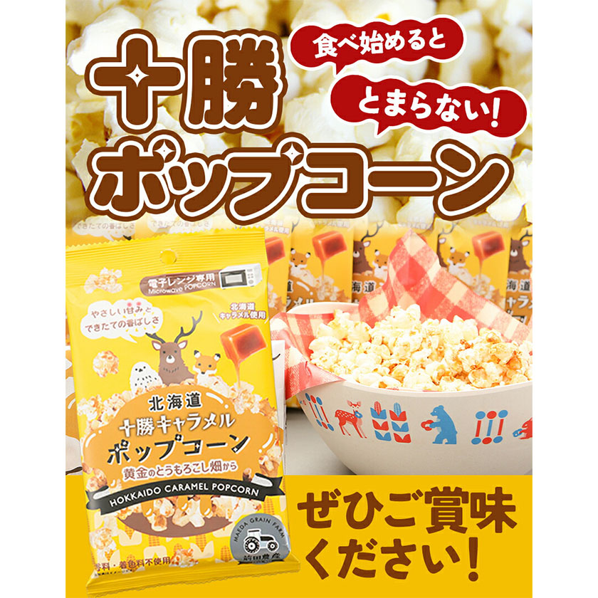 ポップコーン⭐︎2024/2025年度　佛教大学通信課程11冊セット 北海道十勝 前田農産黄金のとうもろこし電子レンジ専用「十勝