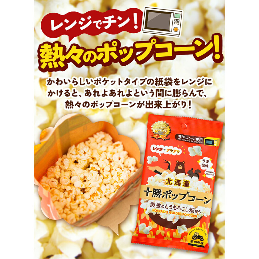 北海道本別町のふるさと納税 北海道十勝 前田農産黄金のとうもろこし電子レンジ専用「十勝ポップコーン」 10袋 有限会社 十勝太陽ファーム《60日以内に順次出荷(土日祝除く)》 北海道 本別町 送料無料 お菓子 ポップコーン