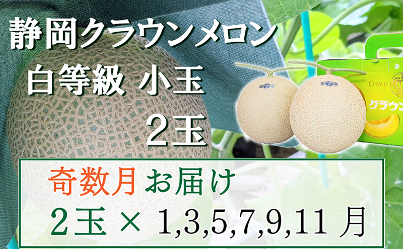 【奇数定期便】クラウンメロン【並(白等級)】小玉(1.1kg前後)2玉入り 果物 メロン青肉 フルーツ デザート 高級メロンブランド 高級メロン ブランドメロン