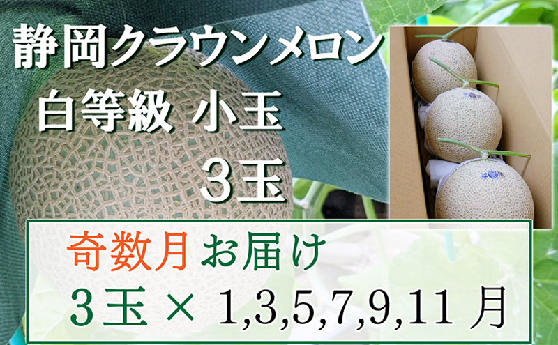 【奇数定期便】クラウンメロン【並(白等級)】小玉(1.1kg前後)3玉入り 果物 メロン青肉 フルーツ デザート 高級メロンブランド 高級メロン ブランドメロン
