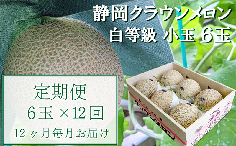 【12か月定期便】クラウンメロン【並(白等級)】小玉(1.1kg前後)6玉入り 果物 メロン青肉 フルーツ デザート 高級メロンブランド 高級メロン ブランドメロン