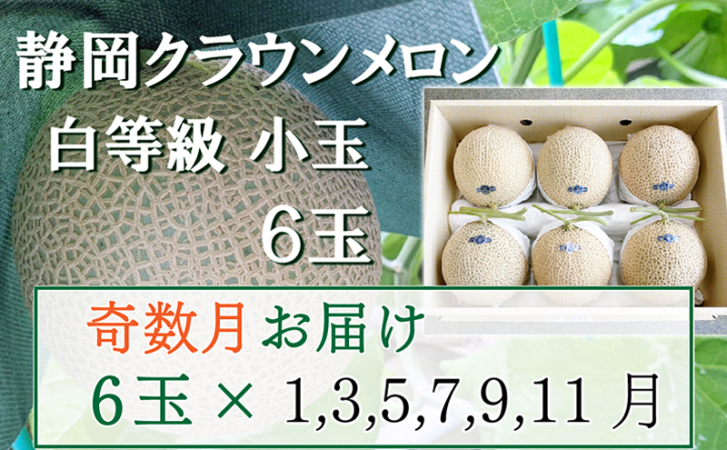 【奇数定期便】クラウンメロン【並(白等級)】小玉(1.1kg前後)6玉入り 果物 メロン青肉 フルーツ デザート 高級メロンブランド 高級メロン ブランドメロン