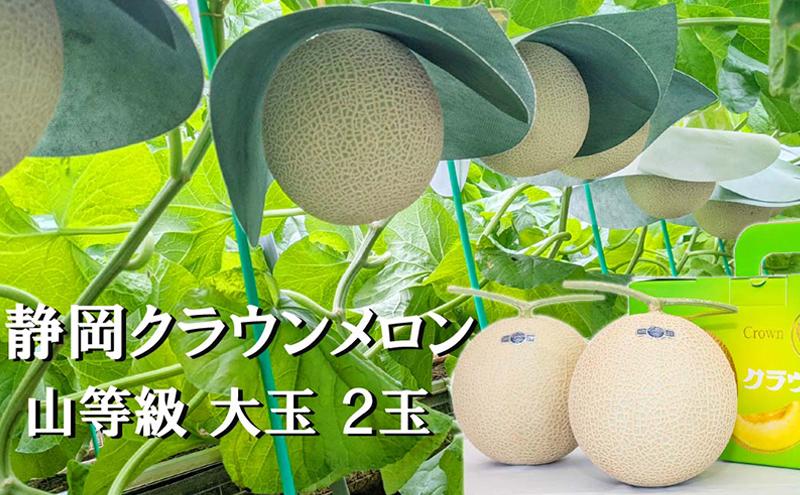 yÉ܈szNER1.4kgO@2ʓ ʕ  t[c fU[g uh  uh