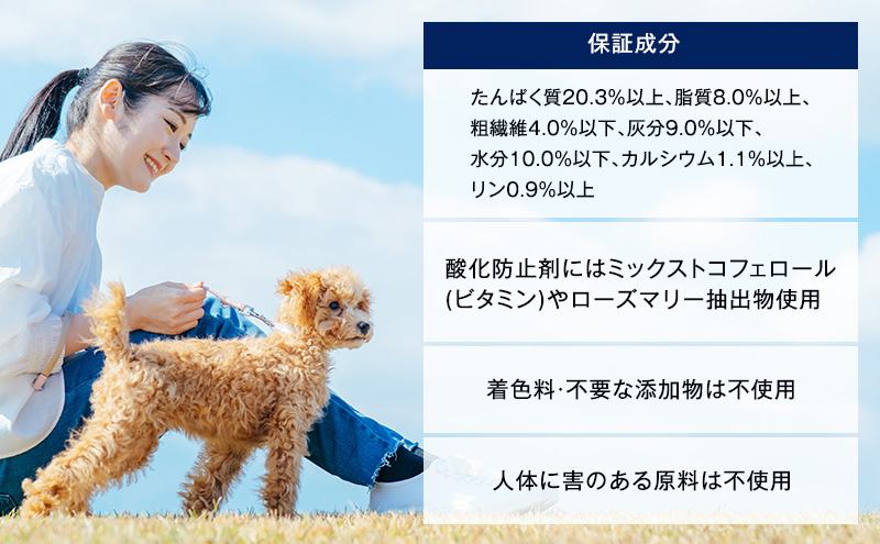ドッグフード ビタワン 6.5kg 日本ペットフード 定番 ドライ ペットフード 犬 愛犬 ペット ペット用品 ドライフード 総合栄養食 健康 犬用 愛犬用 ごはん 静岡 静岡県 袋井 袋井市