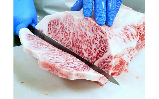 お肉博士と工場見学　近江牛スゴーイ！～お持ち帰りできる近江牛500g付～【CB13W】