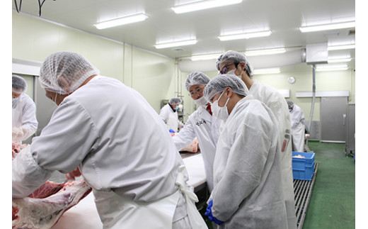 お肉博士と工場見学　近江牛スゴーイ！～お持ち帰りできる近江牛500g付～【CB13W】