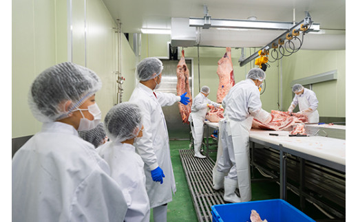 お肉博士と工場見学　近江牛スゴーイ！～お持ち帰りできる近江牛500g付～【CB13W】