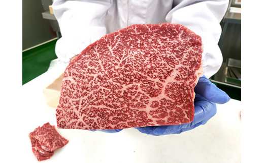 お肉博士と工場見学　近江牛スゴーイ！～お持ち帰りできる近江牛500g付～【CB13W】