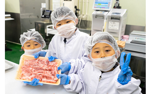 お肉博士と工場見学　近江牛スゴーイ！～お持ち帰りできる近江牛500g付～【CB13W】
