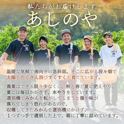 ZE6177n_【2026年先行予約】和歌山県産 有田の 不知火(しらぬひ) 4kg (S～3Lサイズ混合)【まごころ手選別】