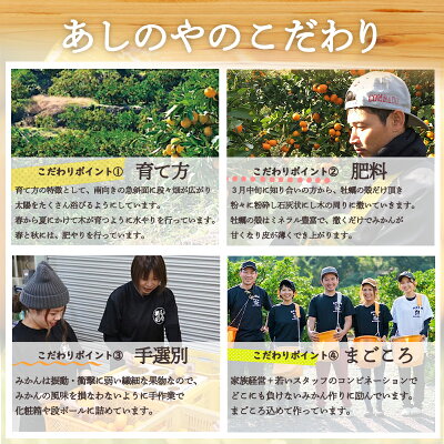 ZE6177n_【2026年先行予約】和歌山県産 有田の 不知火(しらぬひ) 4kg (S～3Lサイズ混合)【まごころ手選別】