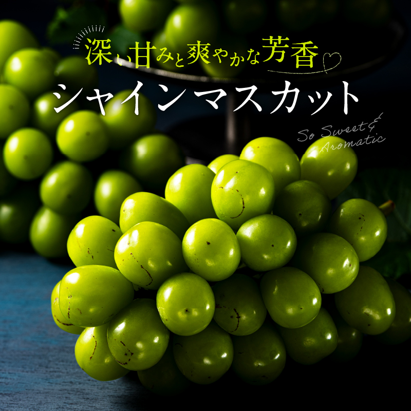 福岡県新宮町のふるさと納税 AC126.九州・福岡フルーツ王国より直送.シャインマスカット約1kg／2026年9月配送