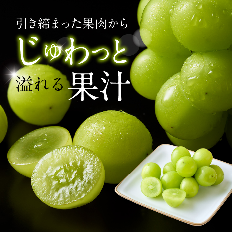 福岡県新宮町のふるさと納税 AC126.九州・福岡フルーツ王国より直送.シャインマスカット約1kg／2026年9月配送