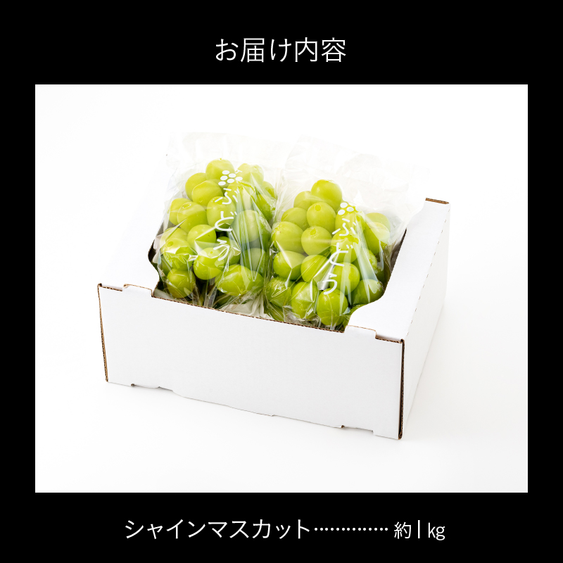 福岡県新宮町のふるさと納税 AC126.九州・福岡フルーツ王国より直送.シャインマスカット約1kg／2026年9月配送