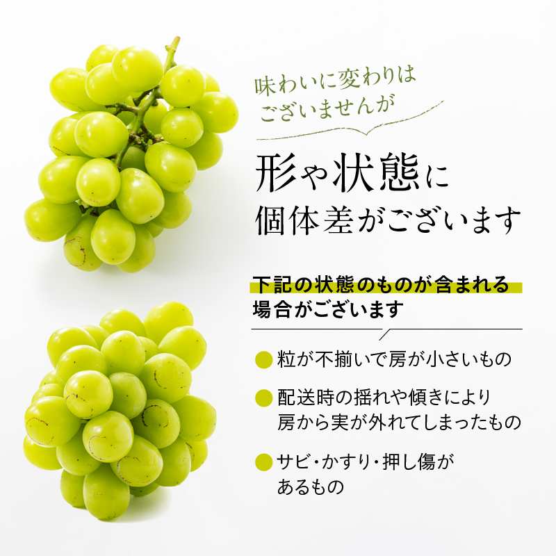 福岡県新宮町のふるさと納税 AC126.九州・福岡フルーツ王国より直送.シャインマスカット約1kg／2026年9月配送