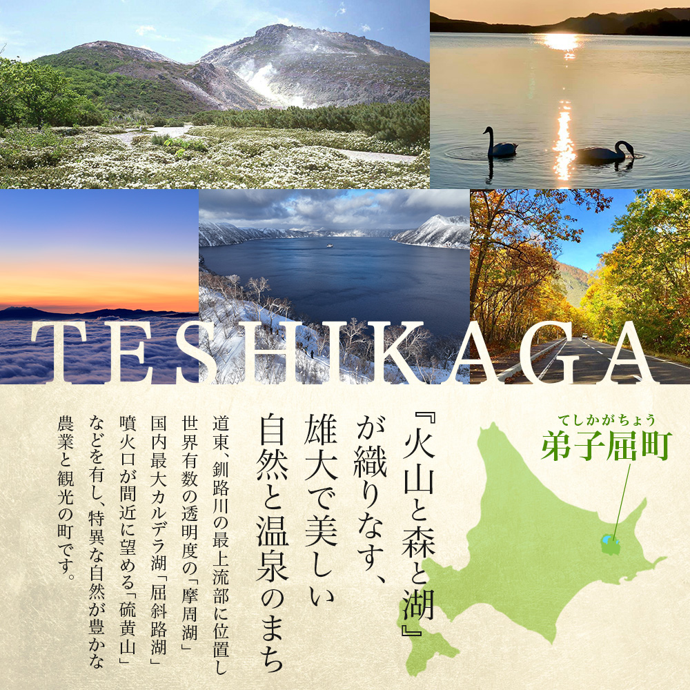 北海道弟子屈町のふるさと納税 60. 北国の丸ごとチキンレッグ スープカレー 4個 レトルト 送料無料 北海道 弟子屈町