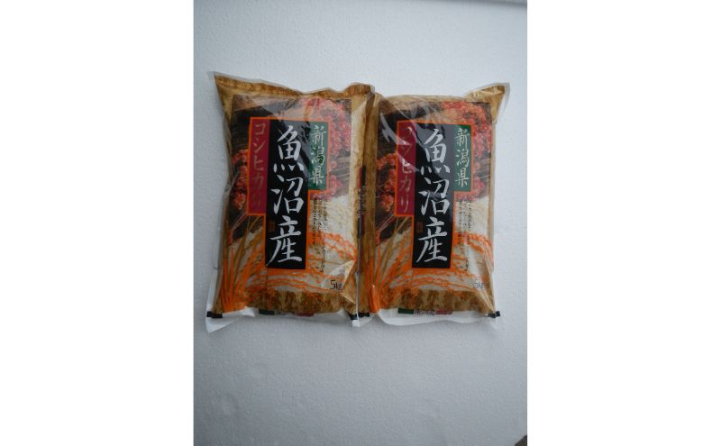 ふるさと納税 服 新潟県 十日町市 0331世界で唯一 着る山菜 みょうがTシャツ・サンドベージュ Mサイズ Mサイズ 世界で唯一!着る山菜!!【みょうがTシャツ・サンドベージュ
