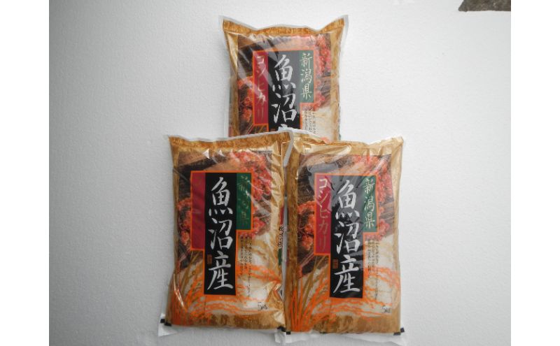 【新潟県十日町市】令和7年度産【十日町産】 魚沼産コシヒカリ15kg 米 お米 こしひかり 精米 新潟