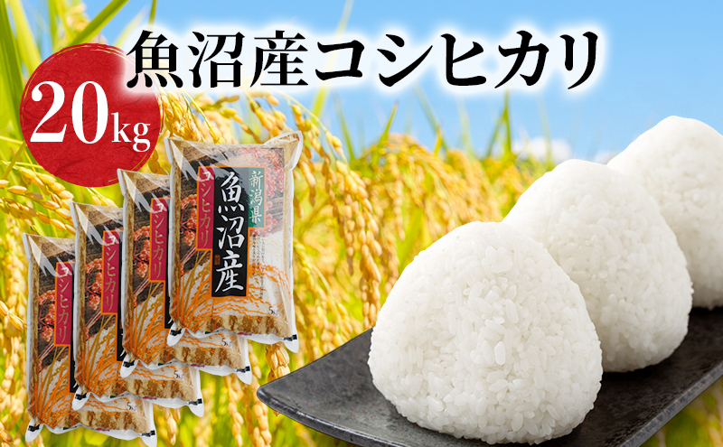 令和7年度産【十日町産】 魚沼産コシヒカリ20kg 米 お米 こしひかり 精米 新潟 