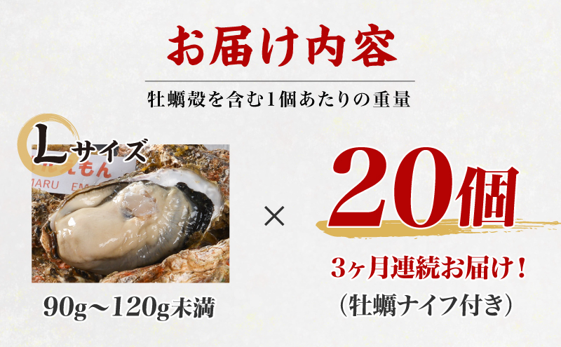 定期便 3ヶ月 北海道 厚岸産 牡蠣 Lサイズ 20個 (各回20個×3ヶ月分,合計60個) 殻付き 生食 カキナイフ付き かき カキ 生牡蠣 魚介類 貝 マルえもん