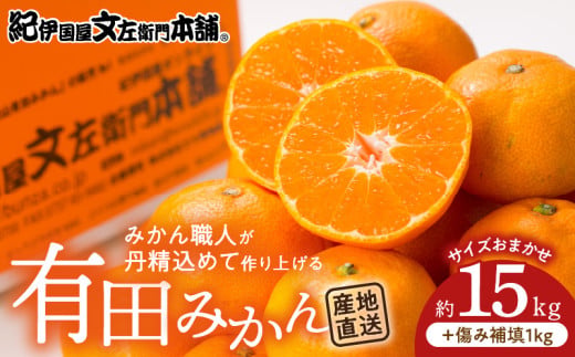 【和歌山県有田郡湯浅町】V7440_有田みかん 約15kg(+傷み補填分1kg)=合計16kg【サイズおまかせ】 / 産地直送 / 紀伊国屋文左衛門本舗(お届け日指定不可)