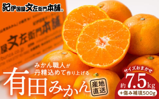 V7441_有田みかん約7.5kg(+傷み補填分500g)=合計8kg【サイズおまかせ】 / 産地直送 / 紀伊国屋文左衛門本舗（お届け日指定不可）