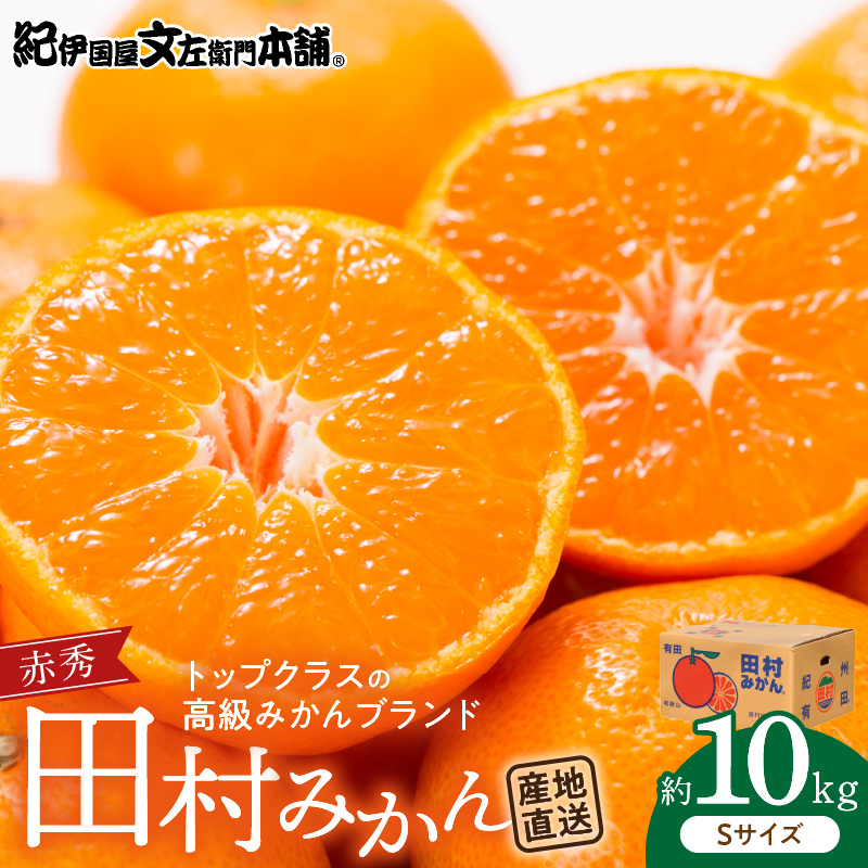 V7444_【2026年先行予約】田村みかん／特選ギフト品10kg【Sサイズ】赤