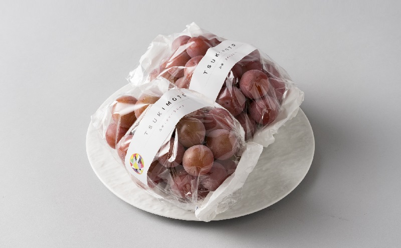 【2026年先行予約】 ぶどう 岡山県産 クイーンニーナ 1kg箱（2～3房） 《2026年8月下旬-9月下旬頃出荷》 葡萄 ブドウ 岡山県産 フルーツ 果物 スイーツ 数量限定 期間限定 岡山 里庄町 ブドウ ぶどう 葡萄 