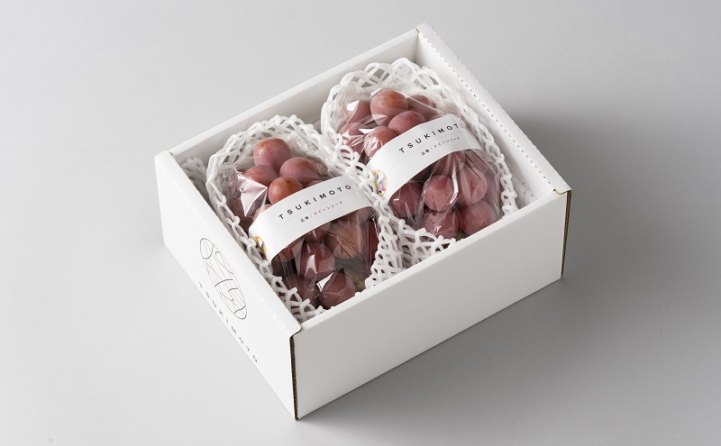 【2026年先行予約】 ぶどう 岡山県産 クイーンニーナ 1kg箱（2～3房） 《2026年8月下旬-9月下旬頃出荷》 葡萄 ブドウ 岡山県産 フルーツ 果物 スイーツ 数量限定 期間限定 岡山 里庄町 ブドウ ぶどう 葡萄 