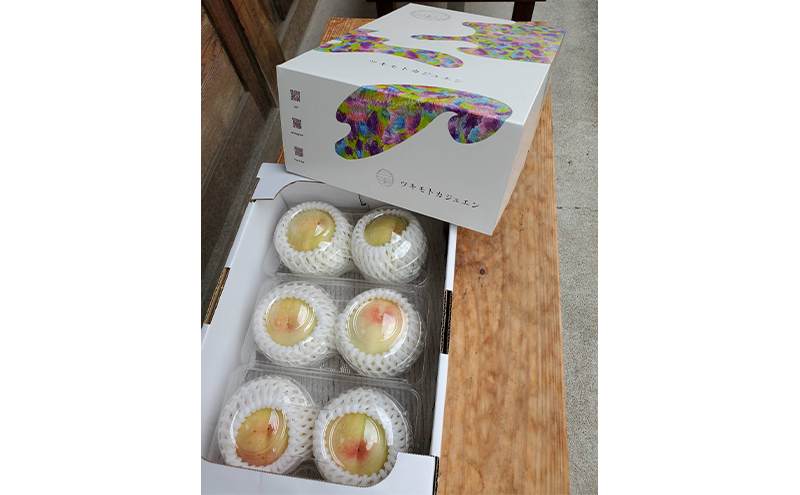 【2026年先行予約】 桃 岡山県産 清水白桃 6個（約1kg） 《2026年7月下旬-8月中旬頃出荷》 白桃 岡山 はくとう スイーツ フルーツ 果物 先行予約 数量限定 期間限定 岡山 里庄町 モモ もも 桃 