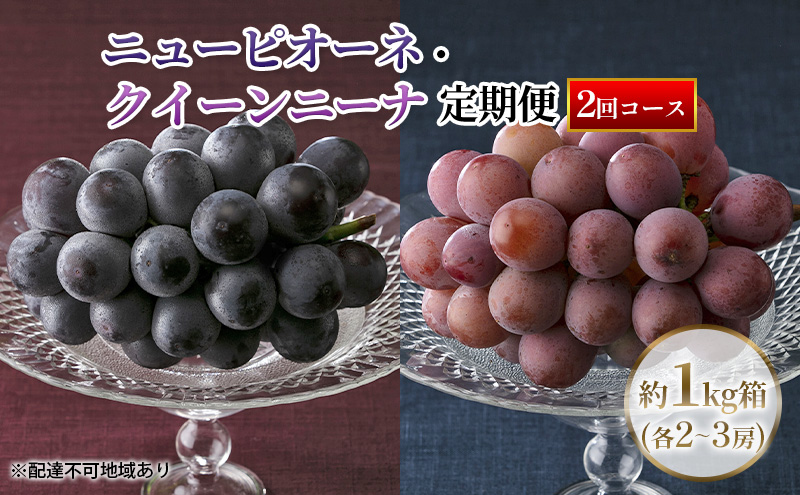 yRzyցzy2026Ns\z Ԃǂ RY j[sI[l E NC[j[i 1kgie2`3[j  2 s2026N8{-9{oׁt  uhE RY t[c ʕ ʌ