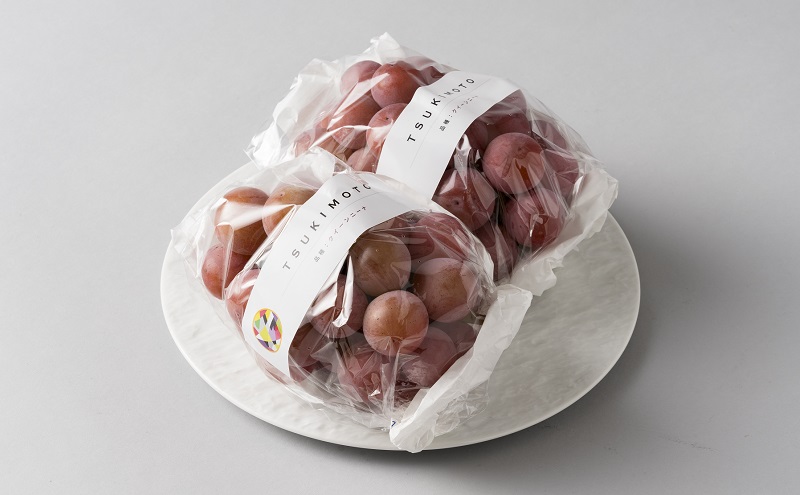 【定期便】【2026年先行予約】 ぶどう 岡山県産 ニューピオーネ ・ クイーンニーナ 1kg箱（各2～3房） 定期便 2回 《2026年8月下旬-9月中旬頃出荷》 葡萄 ブドウ 岡山県産 フルーツ 果物 数量限定 