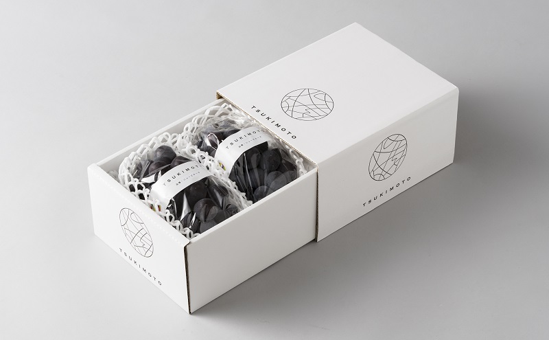 【定期便】【2026年先行予約】 ぶどう 岡山県産 ニューピオーネ ・ クイーンニーナ 1kg箱（各2～3房） 定期便 2回 《2026年8月下旬-9月中旬頃出荷》 葡萄 ブドウ 岡山県産 フルーツ 果物 数量限定 