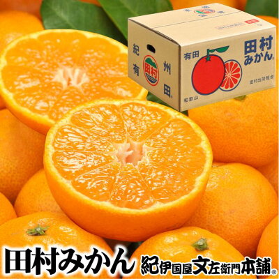 V7451_田村みかん／5kg秀品【大玉サイズ】/ 紀州和歌山有田郡湯浅町田村地区産 / 最高級プレミアムブランドの田村ミカン 
/ 紀伊国屋文左衛門本舗(お届け日指定不可)