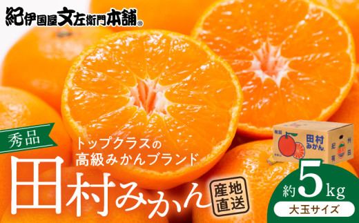【和歌山県有田郡湯浅町】V7451_田村みかん/5kg秀品【大玉サイズ】/ 紀州和歌山有田郡湯浅町田村地区産 / 最高級プレミアムブランドの田村ミカン / 紀伊国屋文左衛門本舗(お届け日指定不可)